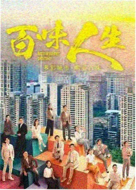 好搭档 律政韩剧海报