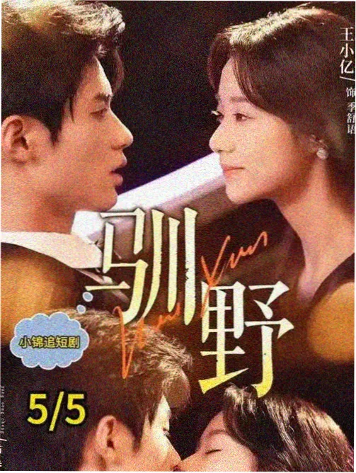 苦尽柑来遇见你番外 韩剧海报
